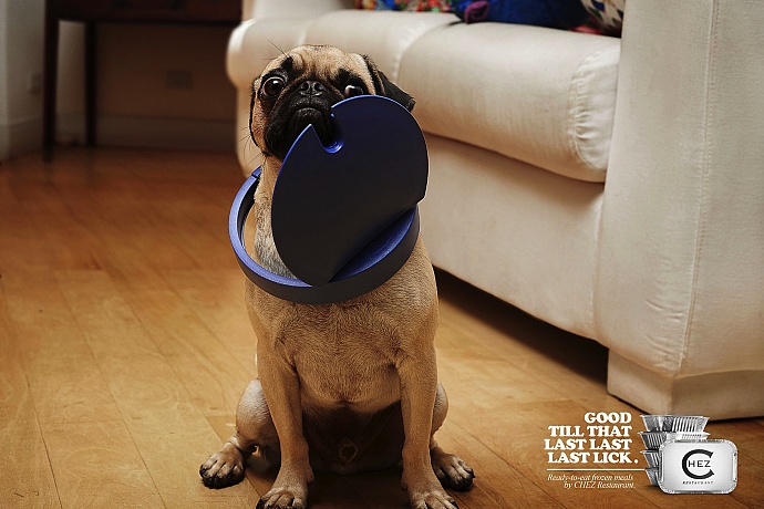 Chez Restaurant: Stuck - Pug