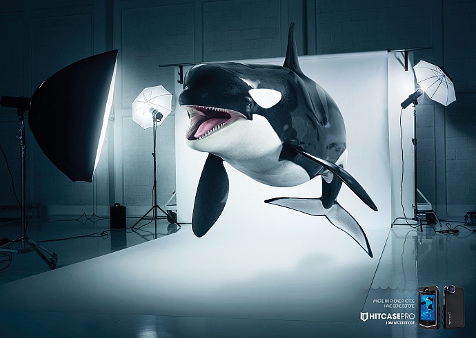 Hitcase: Killer whale