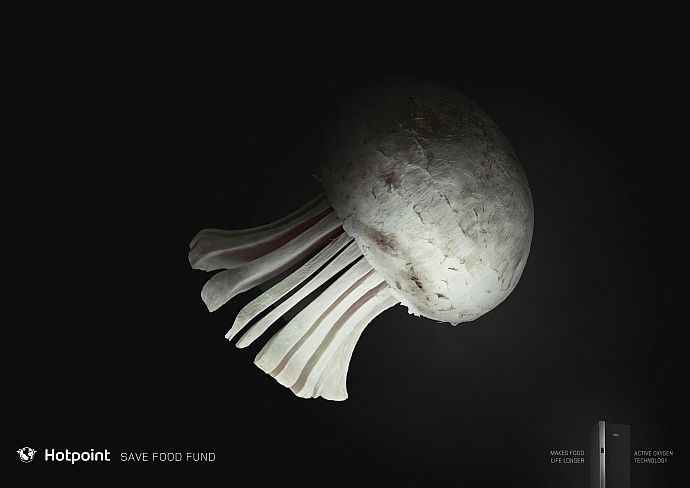 Hotpoint: Jellyfish