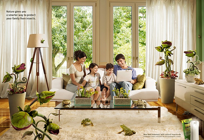 Raid: Family