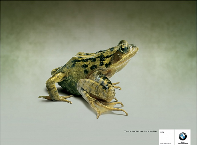 BMW: Frog
