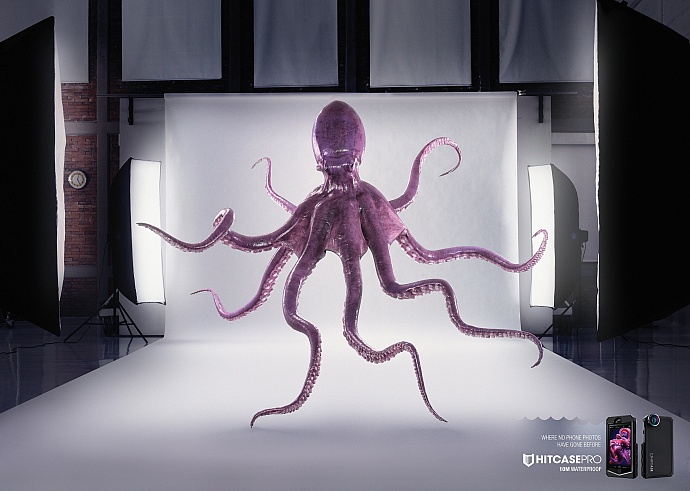 Hitcase: Octopus