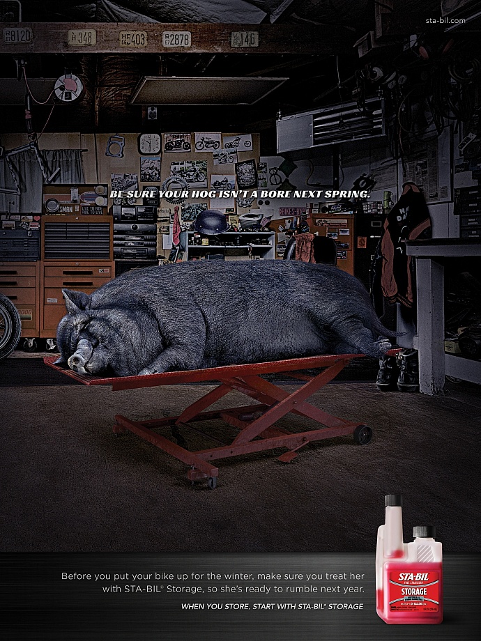 Sta-Bil Storage: Hog