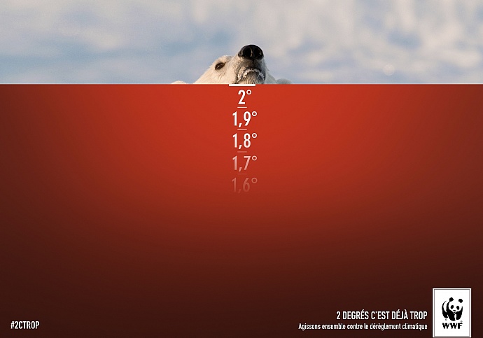 WWF France: Polar bear