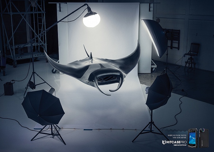 Hitcase: Stingray
