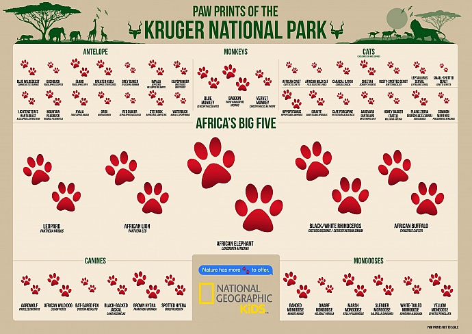 National Geographic Kids: Big five