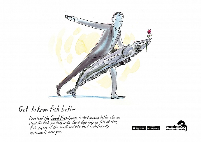 Marine Conservation Society: Get to know fish better, 4