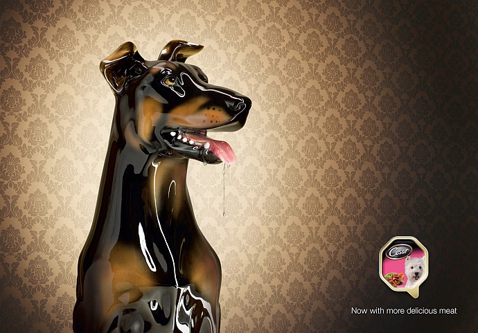 Cesar: Doberman