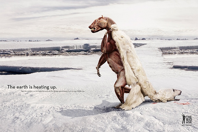 Friends of the Earth: Polar bear