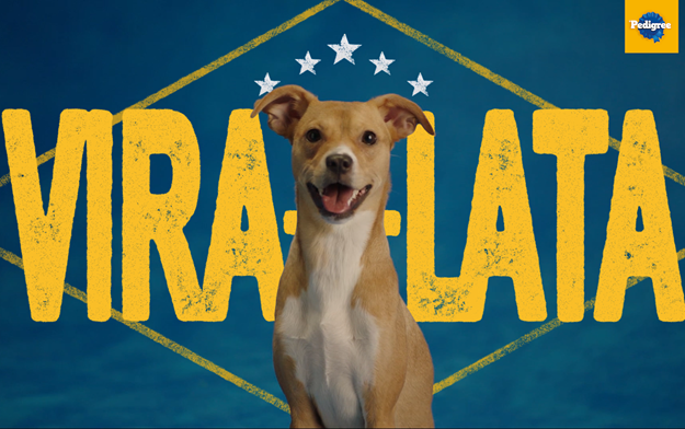 PEDIGREE Launches Campaign to Honor Mutts and Change the Meaning of the Term in Brazil
