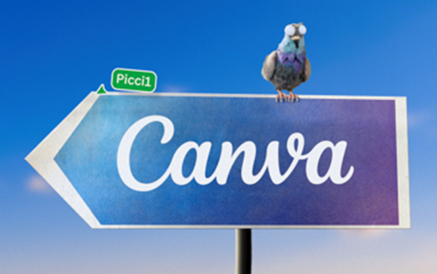 Coo Coo! Canva's Creative Pigeon Returns to Help a Stray Cat Find a Home